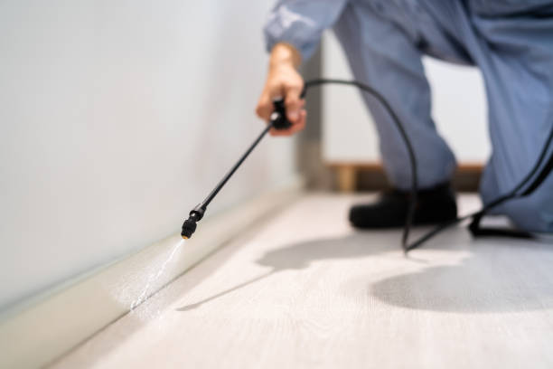 Bed Bug Pre-Treatment Preparation Assessment in Palmyra
