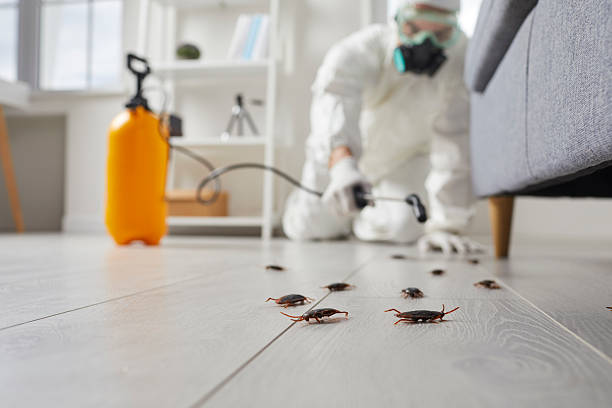 Post-Treatment Bed Bug Interceptor Monitoring in Palmyra