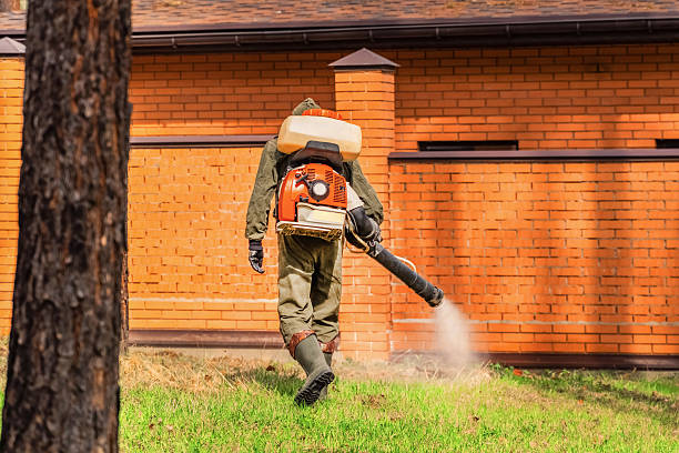 Bed Bug Clearance Verification and Documentation in Palmyra